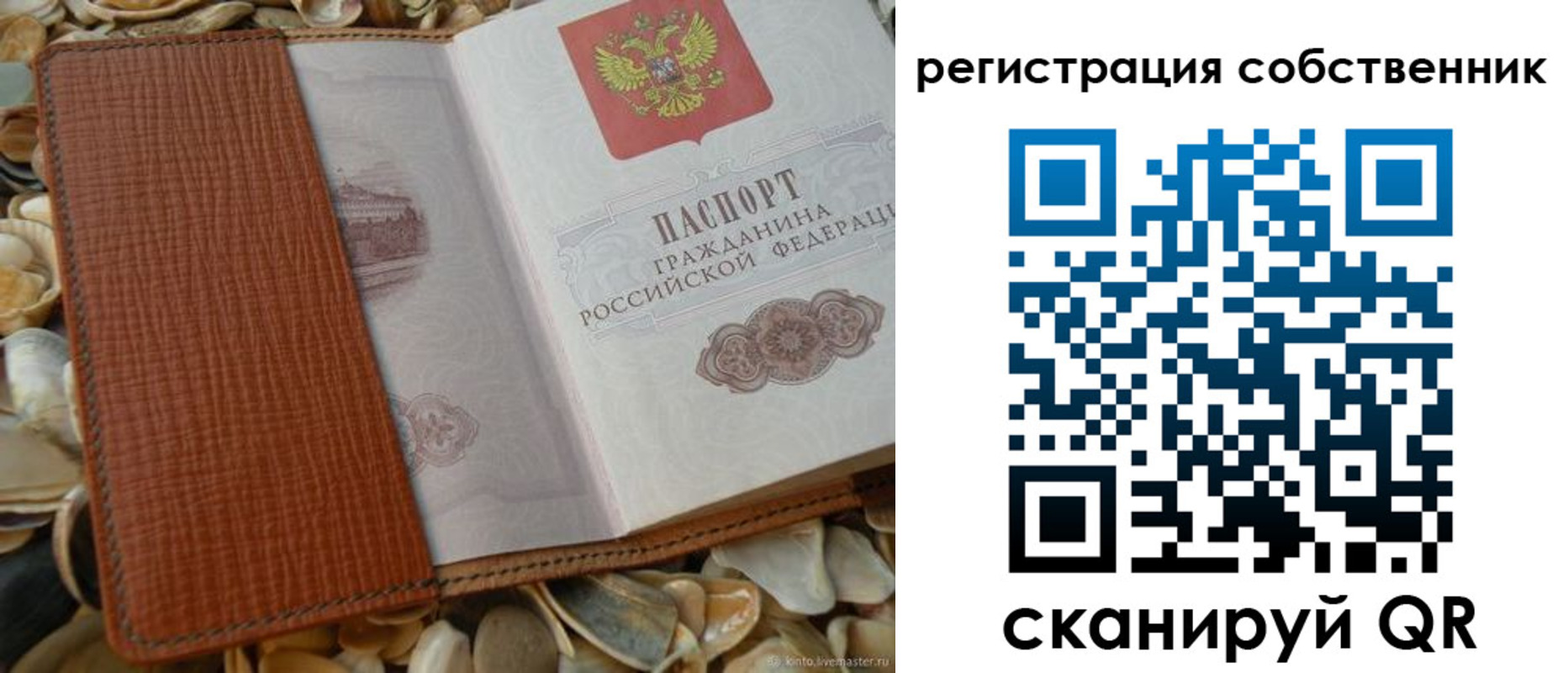 временная регистрация для школы в Ковдоре